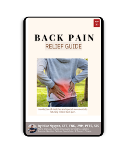 BACK PAIN RELIEF GUIDE 