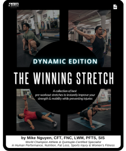 THE WINNING STRETCH GUIDE - DYNAMIC EDITION