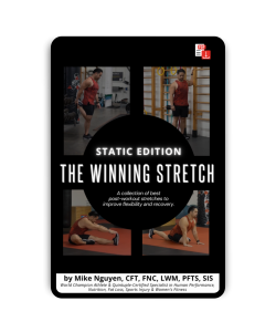 THE WINNING STRETCH GUIDE - STATIC EDITION
